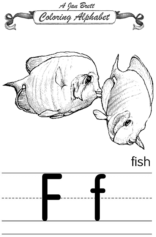 Fish