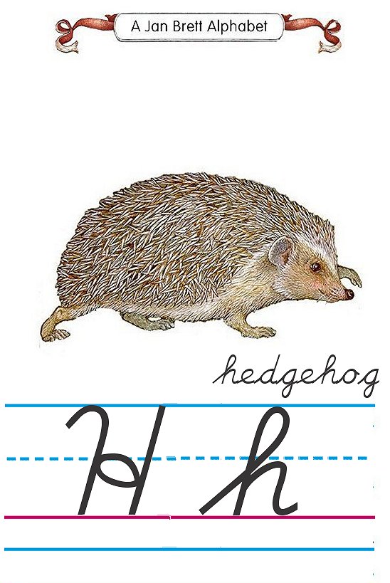 Cursive alphabet H hedgehog