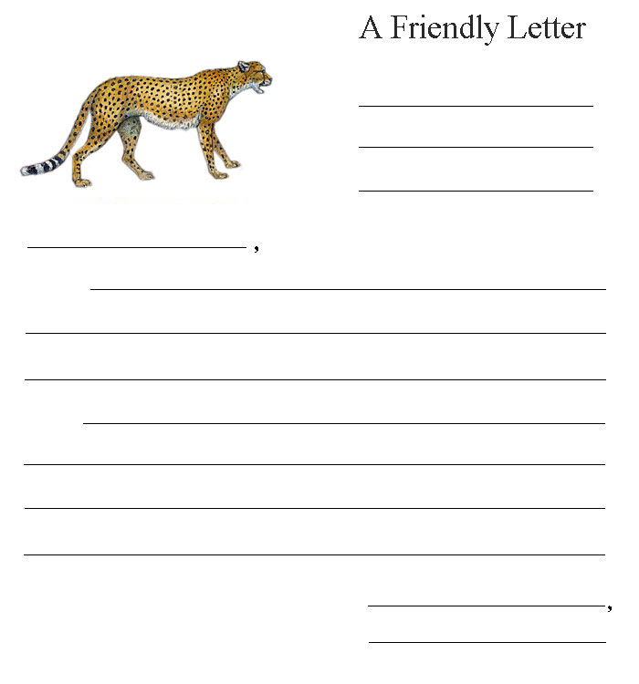Friendly Letter Cheetah