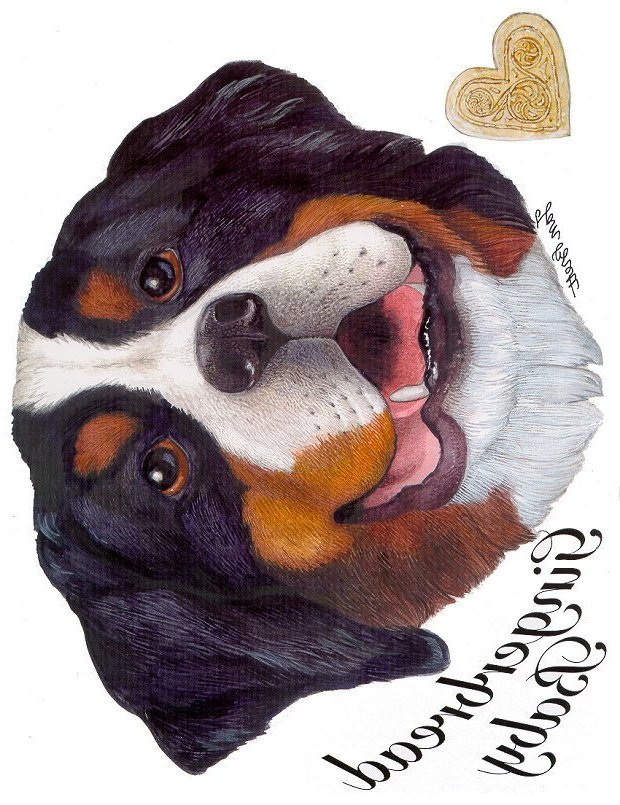 Gingerbread Baby Transfers - The Bernese Dog
