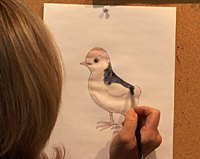 How to Draw a Chick 3