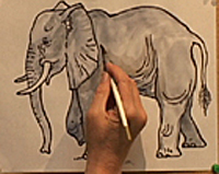 How to Draw and Elephant 3