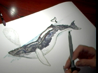 How to Draw a Whale 4