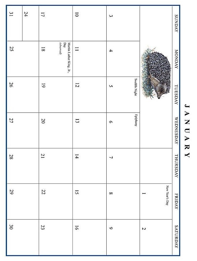 Jan Brett 1999 Calendar - January grid
