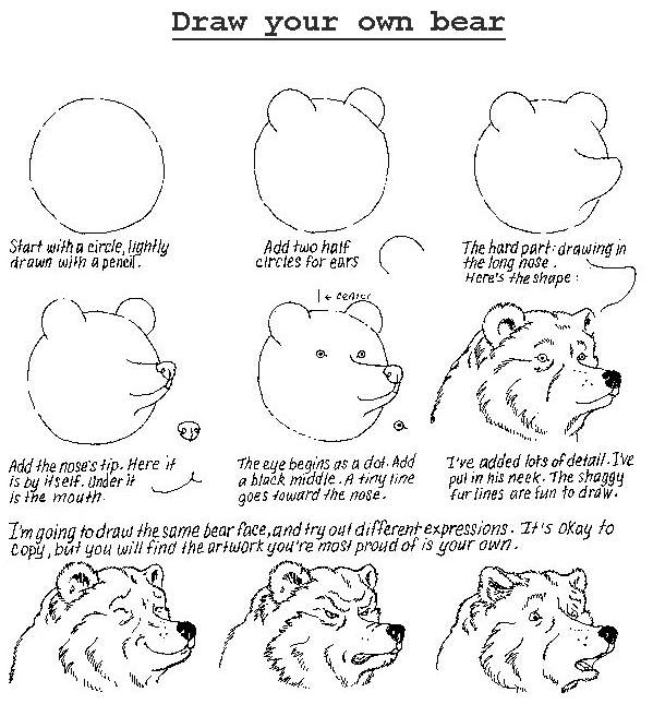 how to draw a bear simulacrum