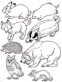 jan brett the mitten coloring pages - photo #3