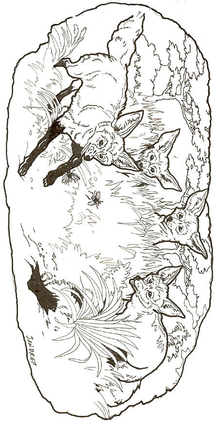 Honey..Honey...Lion Coloring Mural Bat-eared Foxes