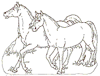 Noah Coloring Pages on In Noah S Ark Coloring Pages   Plants In Noah S Ark Coloring Pages