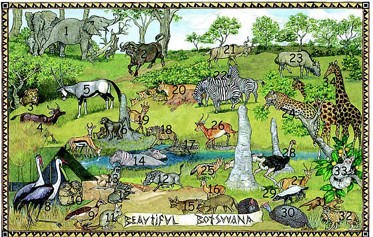 On Noah's Ark Botswana Animals