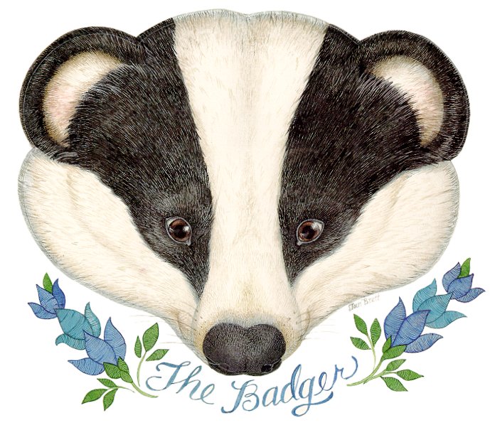 The badger