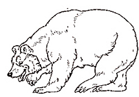 jan brett the mitten coloring pages - photo #10