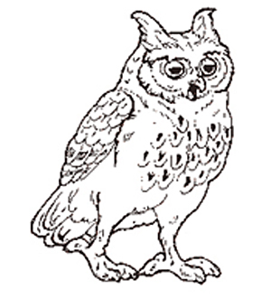 The Owl reversed