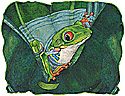 The Umbrella