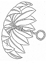 jan brett coloring pages for the umbrella - photo #4