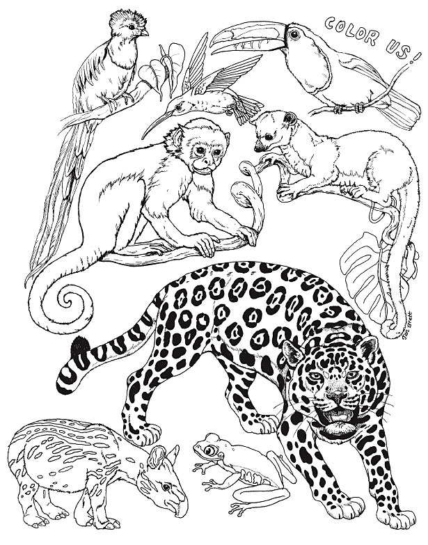 janbrett coloring pages - photo #6
