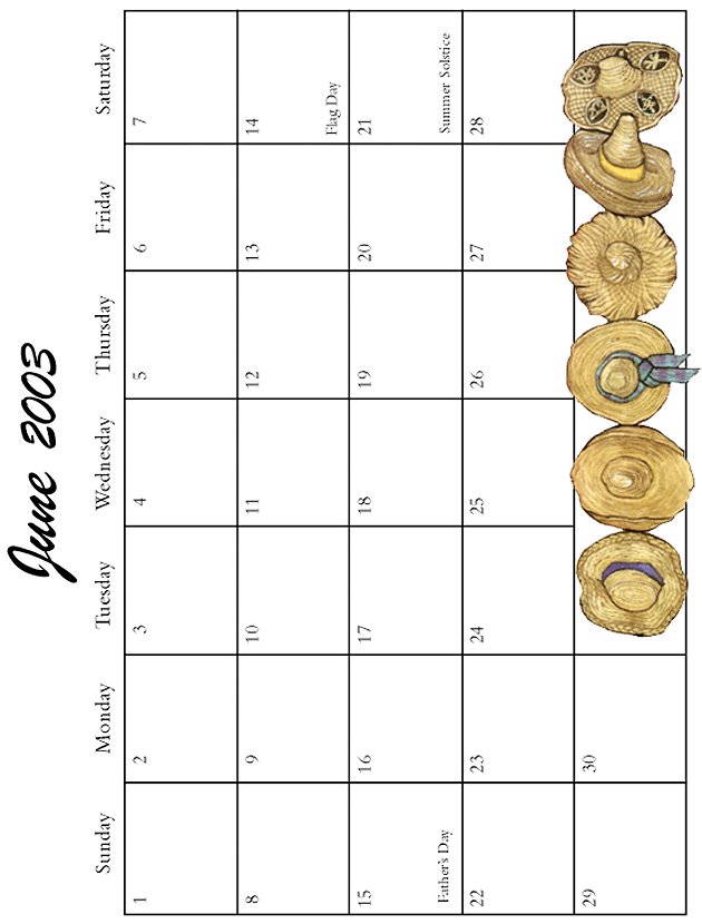 2003 June Grid