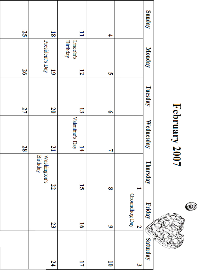 2007 February Coloring Grid