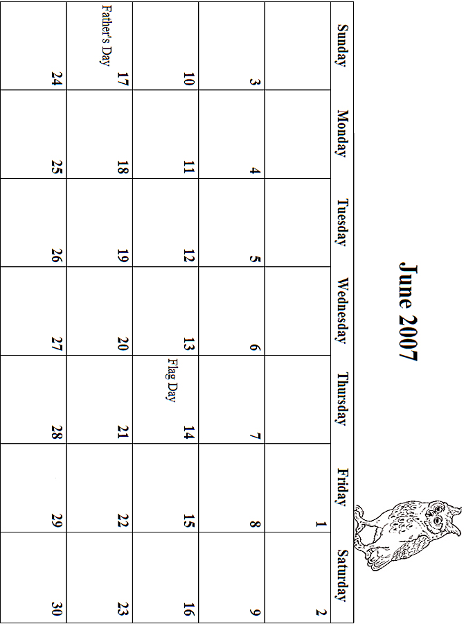 2007 June Coloring Grid