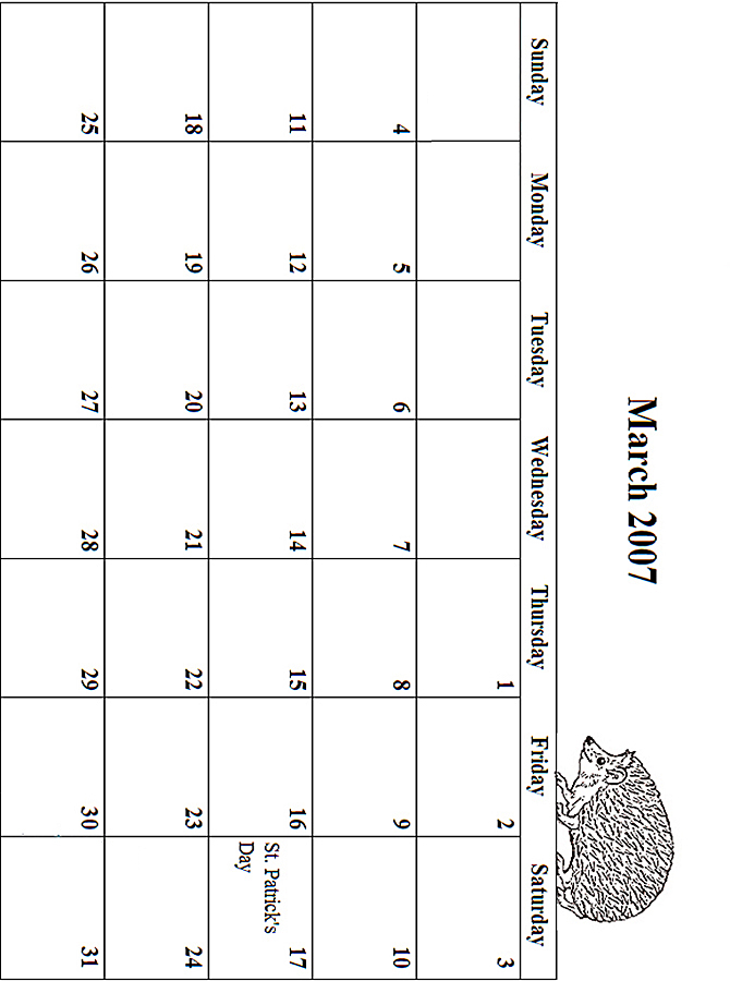 2007 February Coloring Grid