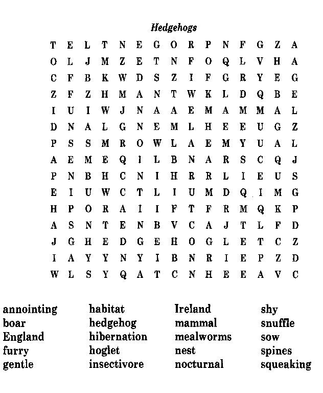 wordsearch