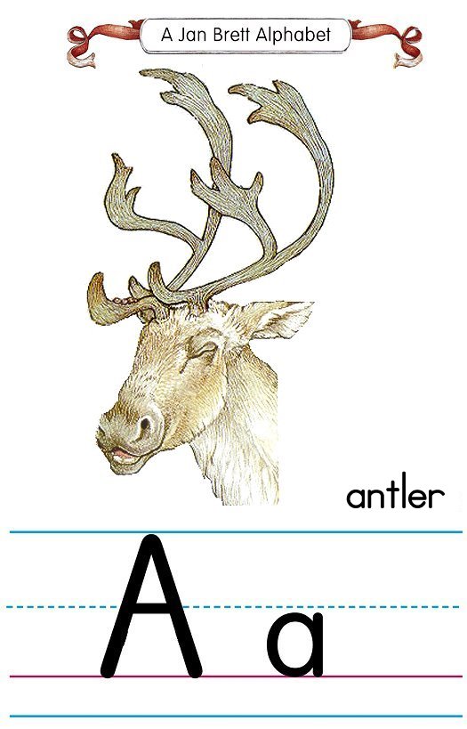 Jan Brett Alphabet Letter A Antler