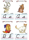 Flash Card Cursive Alphabet A to C