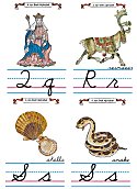 Flash Card Cursive Alphabet Q to S