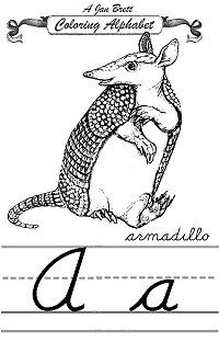 Armadillo