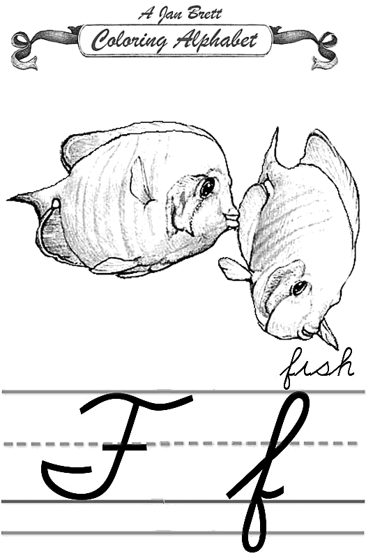 Fish