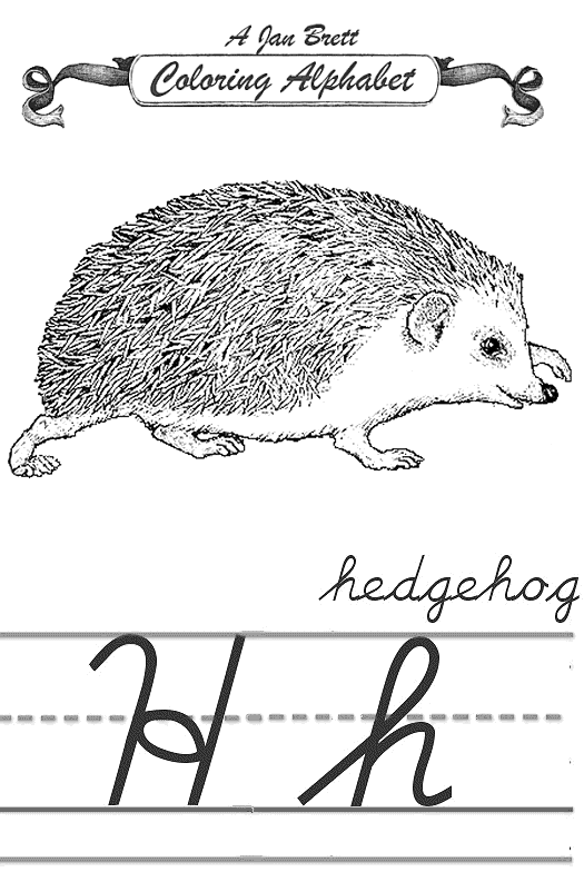 Hedgehog