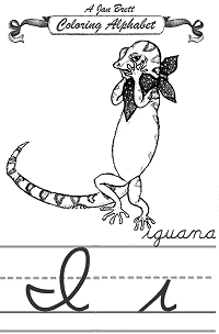 Iguana