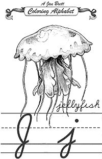 Jellyfish