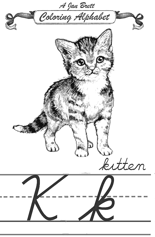 Kitten