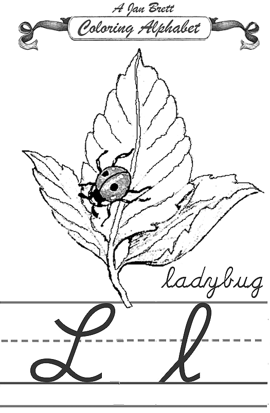 Ladybug