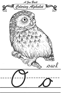 Owl