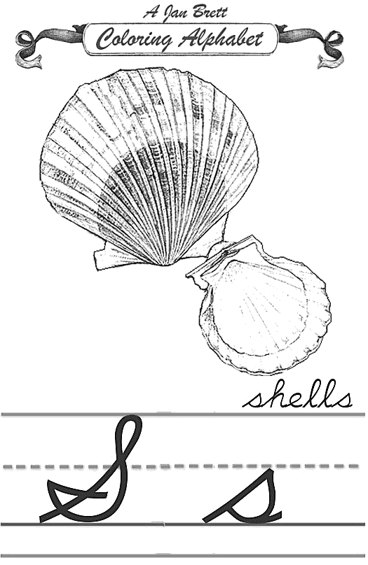 Shells