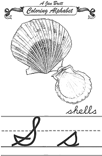 Shells