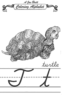 Turtle