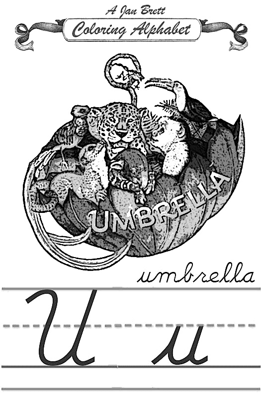 Umbrella