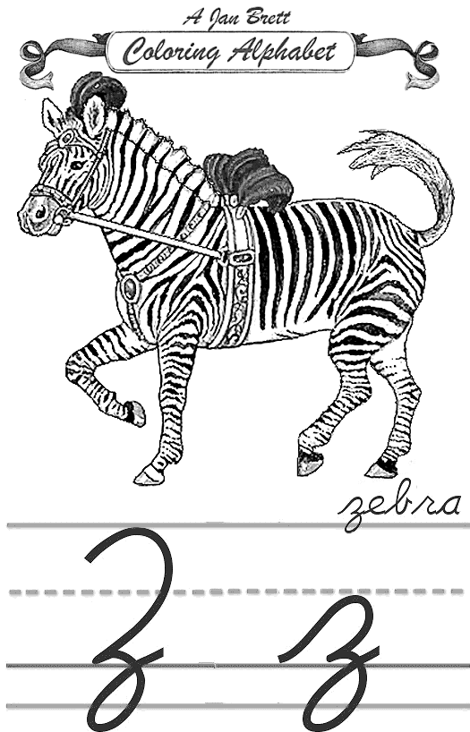 Zebra