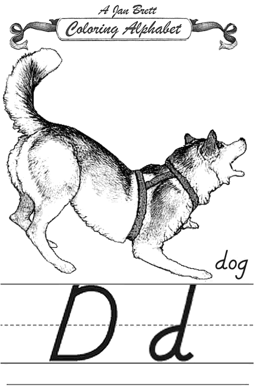 Dog