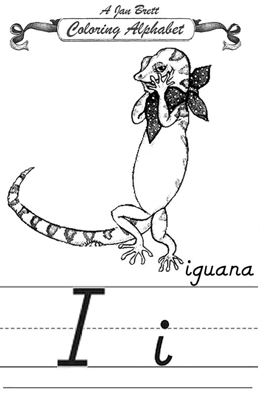 Iguana