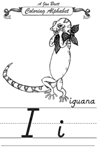 Iguana