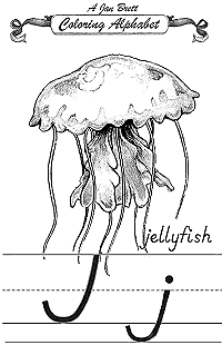 Jellyfish