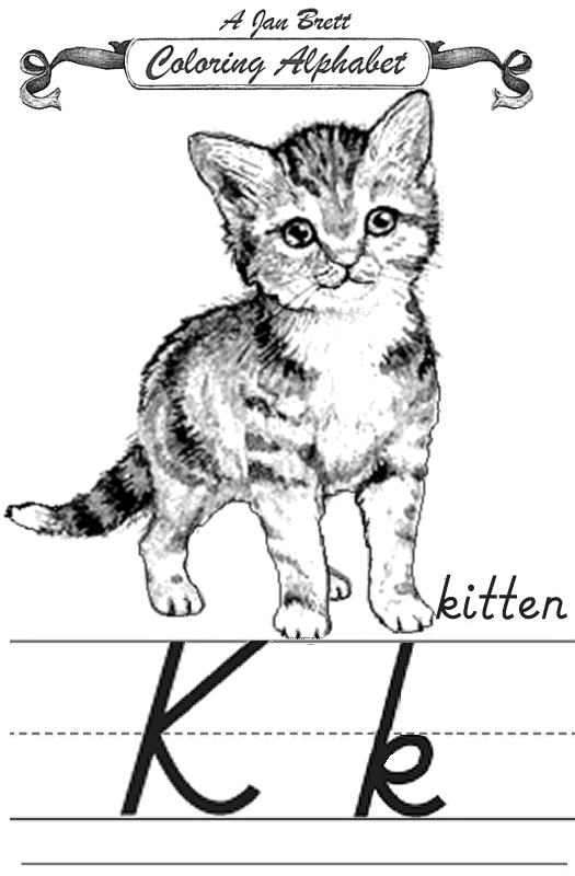 Kitten