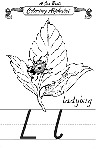 Ladybug