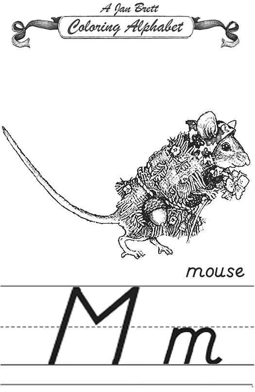 Mouse