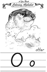 Otter