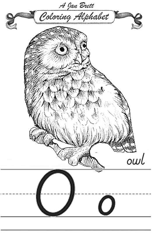 Owl