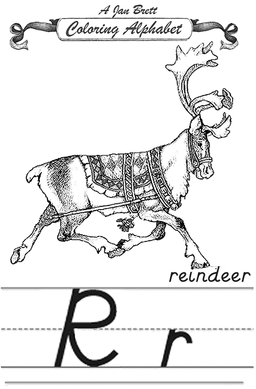 Reindeer